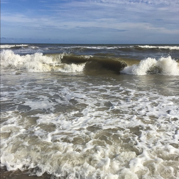 Meet your Posher, Kaity - Picture 4 of 4